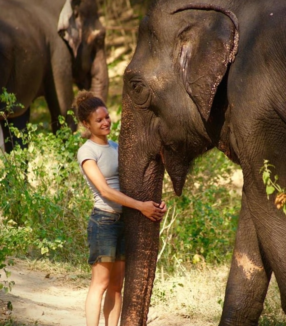 Sanctuaire pour éléphants en Asie 
