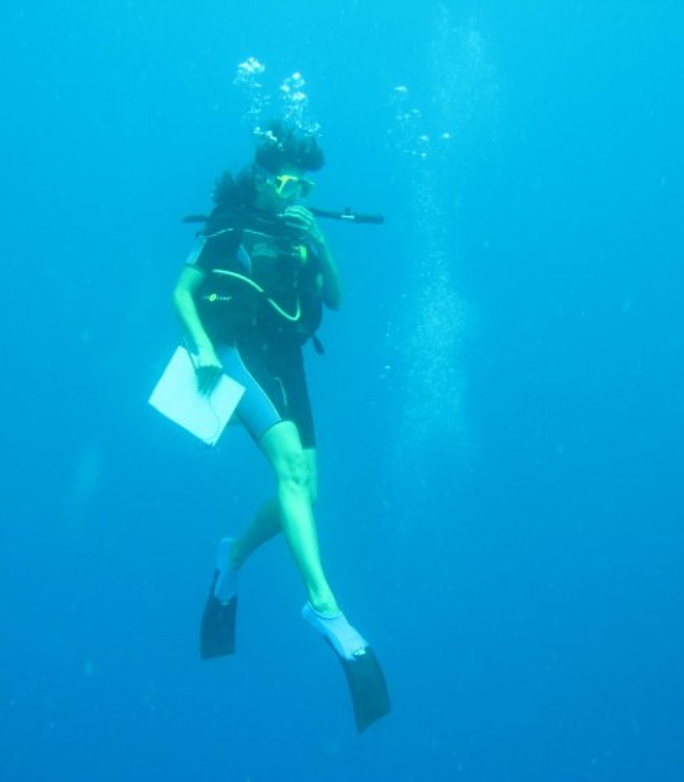 Stage dans la protection de la biodiversité marine