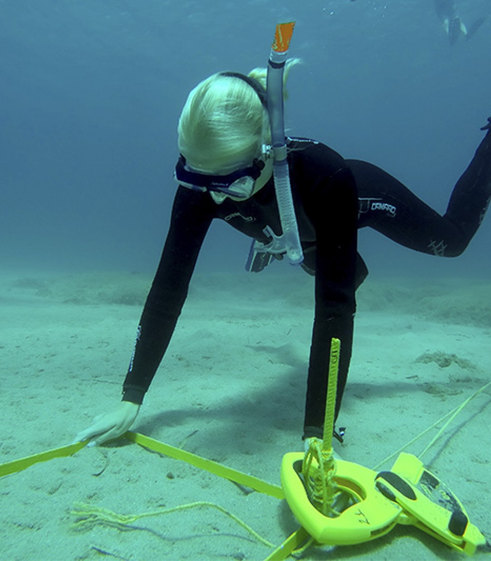 Stage d'écologie marine en Grèce 