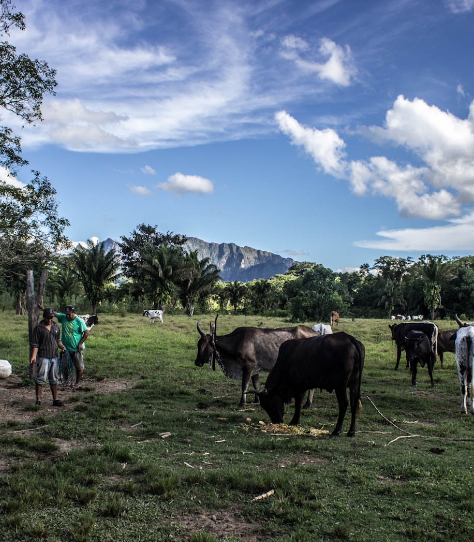 faire-une-mission-humanitaire-dans-une-tribu