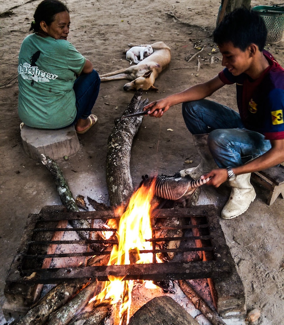 mission-en-immersion-totale-avec-les-tribus-indigenes