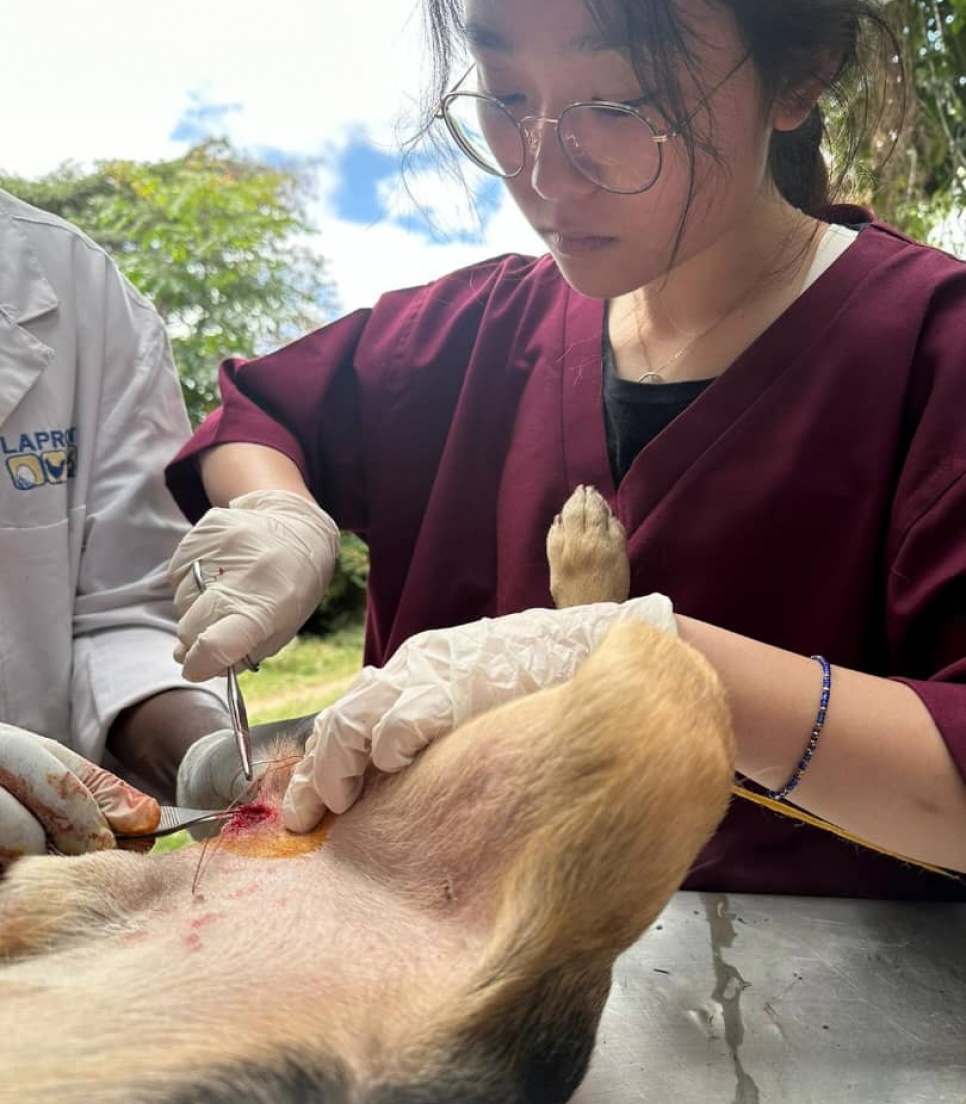 Jeune vétérinaire en formation en Tanzanie