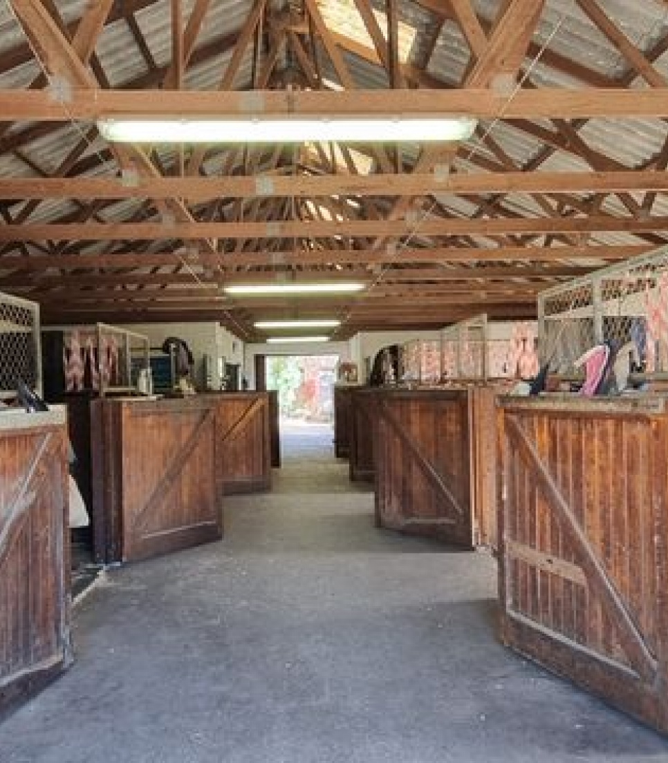 Stage avec des chevaux en Afrique du Sud