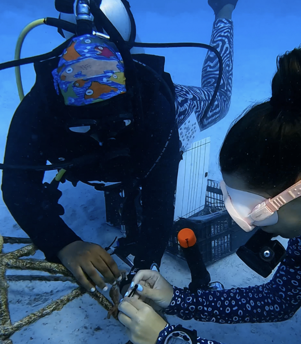 Bénévoles en mission aux Maldives