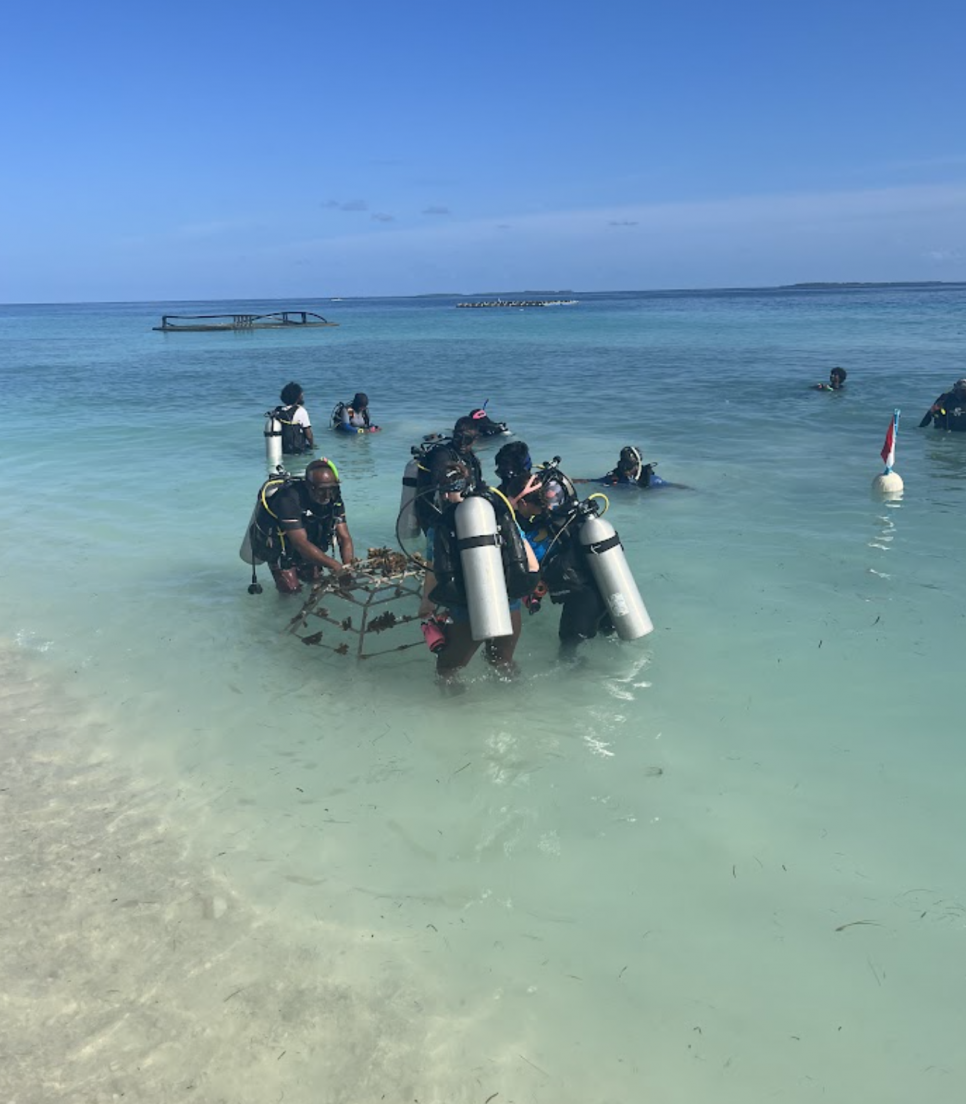 Bénévoles aux Maldives 