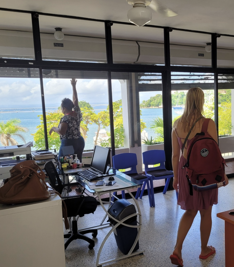 Gestion et administration des ONG 