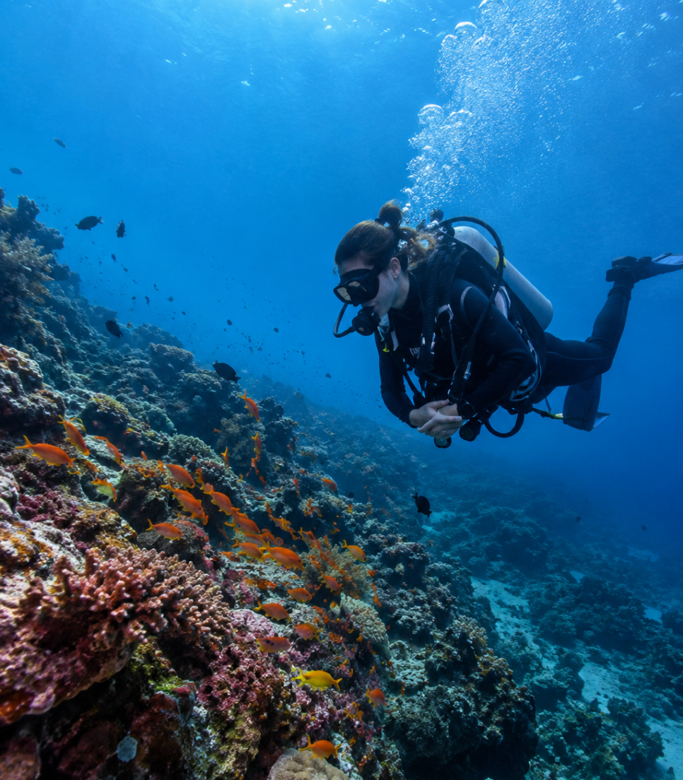 Plongeuse observant un récif pendant une plongée de conservation marine en Afrique du Sud
